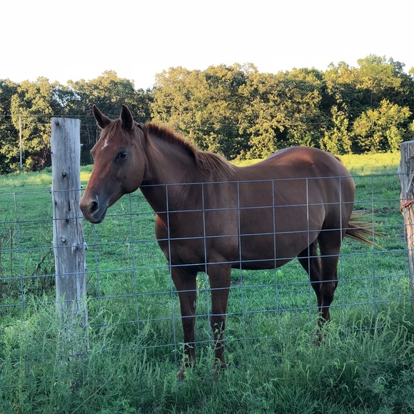 Meet your Posher, Victoria - Picture 1 of 1